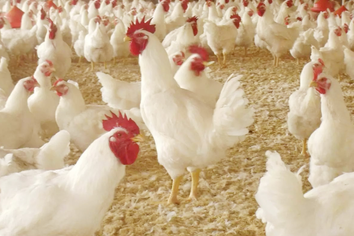 519e1357eb00436c87efea21eadb4b49.jpg 519e1357eb00436c87efea21eadb4b49.jpg