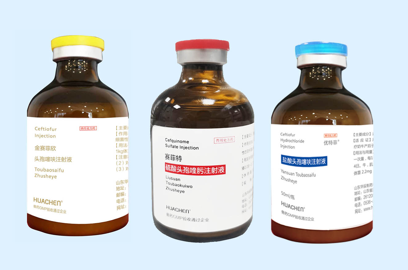 頭孢.jpg 頭孢.jpg